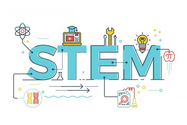 stem